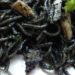 Spaghetti al nero di seppia