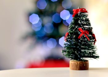 Immacolata Concezione: perché si festeggia l’8 dicembre e cos’è?