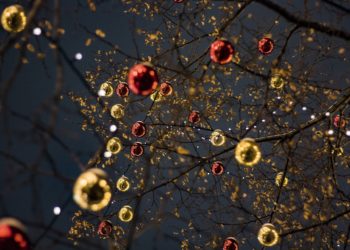 Sabato 20 novembre si accendono le luci del Natale a Padova