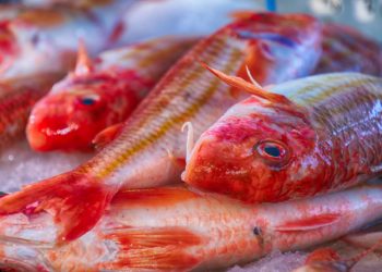 Le tradizioni italiane durante il periodo natalizio