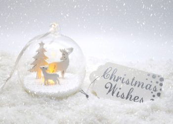 Regali per Natale: le 5 idee più originali