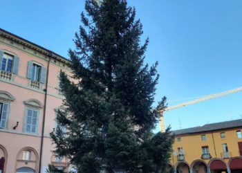 In piazza Matteotti è arrivato l’albero di Natale donato dal comune di Folgaria