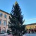 In piazza Matteotti è arrivato l’albero di Natale donato dal comune di Folgaria