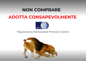 ANIMALI IN DONO A NATALE. OIPA: «METTERE UN CUCCIOLO SOTTO L’ALBERO PUÒ ALIMENTARE IL TRAFFICO ILLEGALE». LANCIATO IL VIDEO DELLA CAMPAGNA NATALIZIA