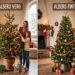 Albero di Natale: Meglio vero o finto? Guida per la scelta perfetta